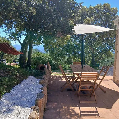 Jacuzzi E Panoramic View Sa Domitta Olbia * Sole Ruiu